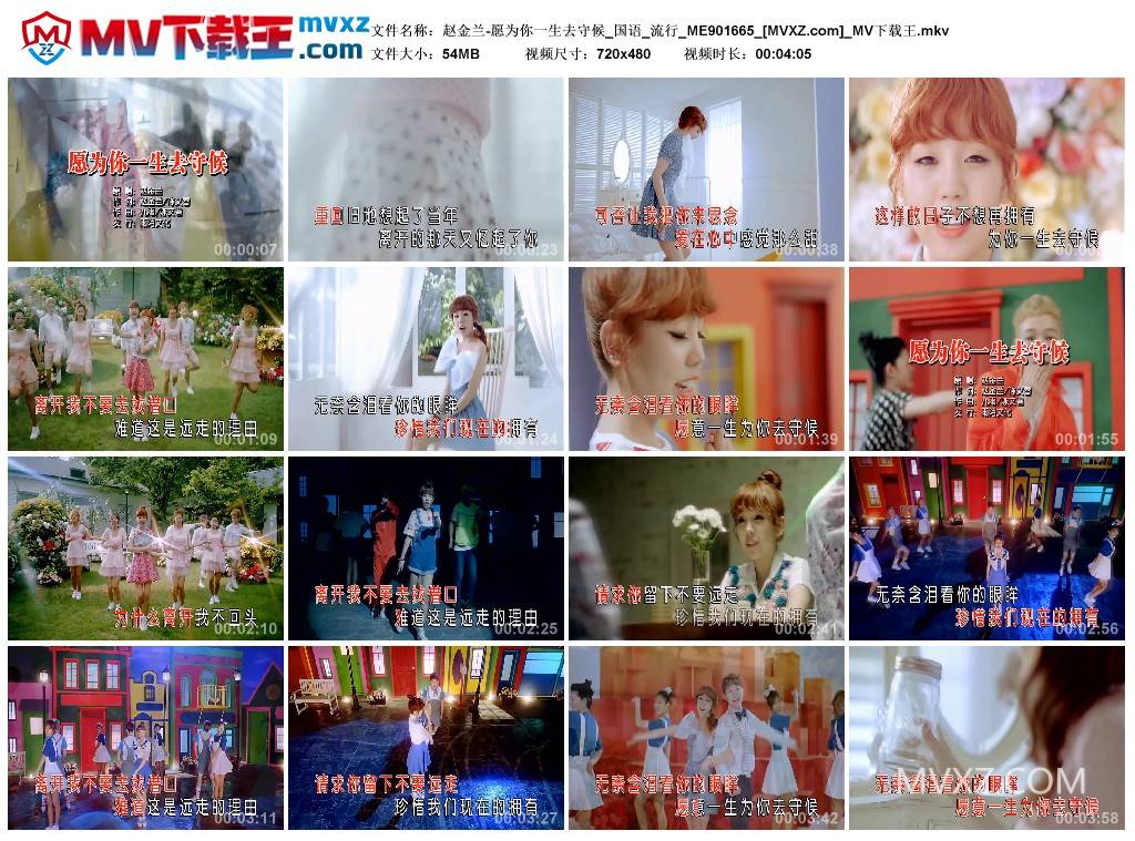 赵金兰-愿为你一生去守候_国语_流行_ME901665